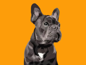 Custom Pet Portrait & Personalized Animal Illustration Design Service