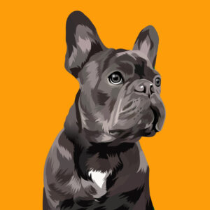 Custom Pet Portrait & Personalized Animal Illustration Design Service