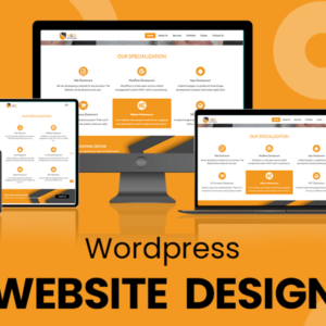 WordPress Website Development & Customization Service