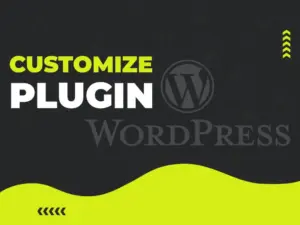 Custom WordPress Plugin Customization & Development Service