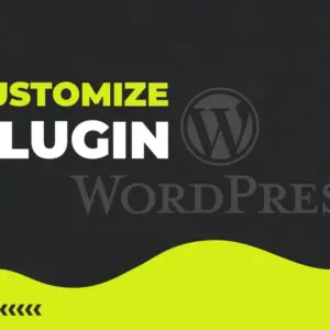 Custom WordPress Plugin Customization & Development Service