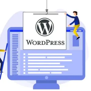 Custom WordPress Theme & Plugin Development | Website Customization and Integration Service