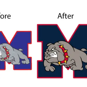 Raster to Vector Conversion & Logo Vectorization Service